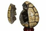 Polished Septarian Puzzle Geode - Black Crystals #177426-3
